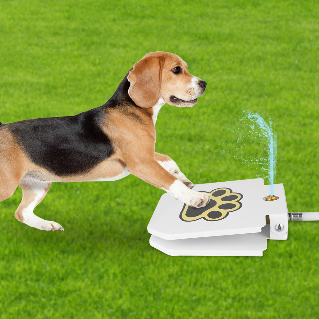9adb0498ac2b800b0653f20dacd6dd28
