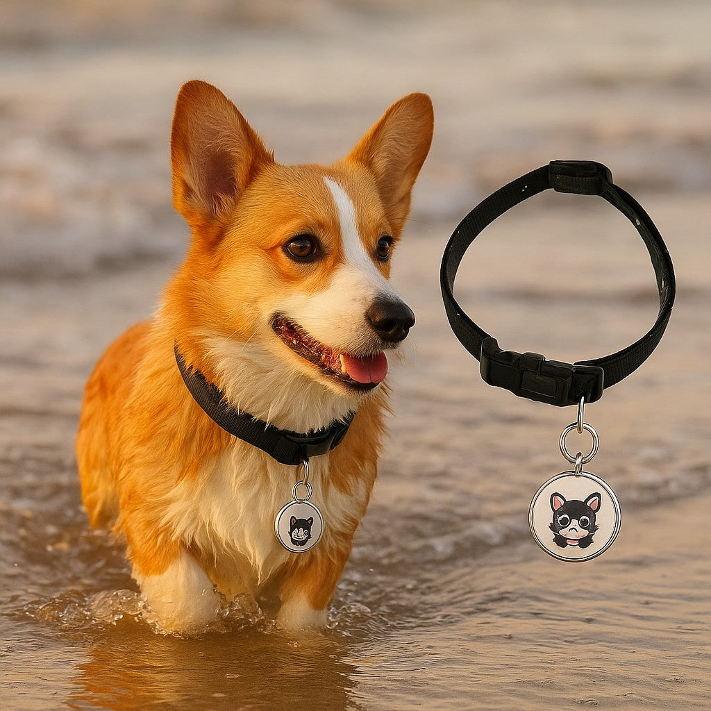 Prime Paws Smart Bluetooth Pet GPS Tracker & Waterproof Collar Locator - premium product photo
