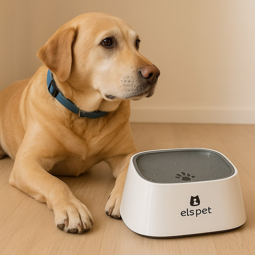 Prime Paws No-Spill Slow Water Feeder Bowl for Dogs and Cats - premium product photo