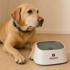 Prime Paws No-Spill Slow Water Feeder Bowl for Dogs and Cats - premium product photo