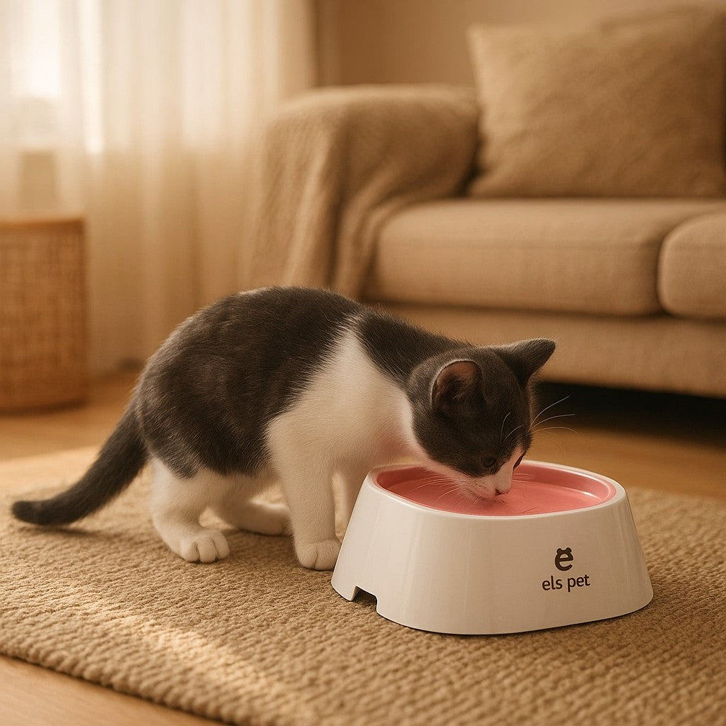 Prime Paws No-Spill Slow Water Feeder Bowl for Dogs and Cats - premium product photo