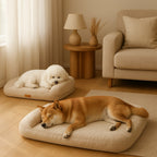 Prime Paws Orthopedic Sofa Dog Bed with Supportive Bolster & Non-Slip Base - premium product photo