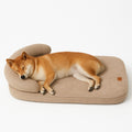 Prime Paws Orthopedic Sofa Dog Bed with Supportive Bolster & Non-Slip Base - premium product photo