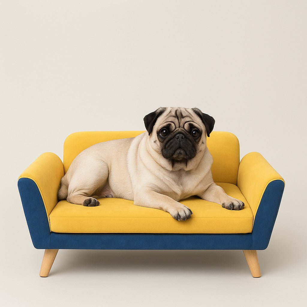 MyPrimePaws Luxury Small Dog Sofa Bed – Elevated & Washable Pet Couch - premium product photo
